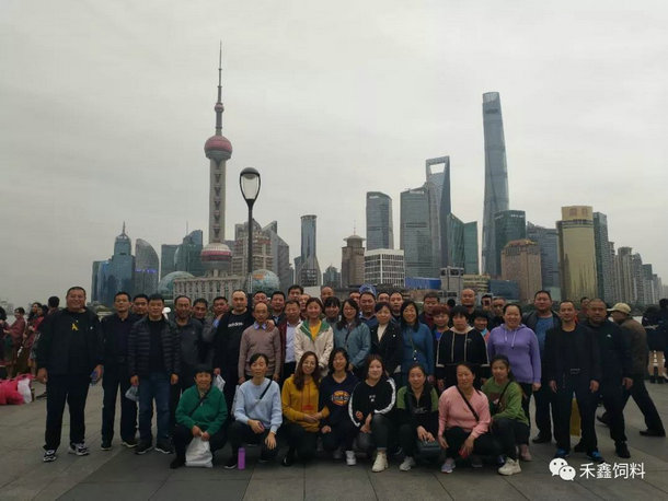 "���Ή�(m��ng)֮����g��(l�� )�A�|��"2019����A�|֮�ÈA�M(m��n)�Y��